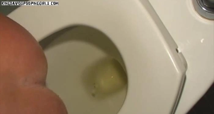 Alina en Demi overtreffen zichzelf in intieme HD 720p toiletpoep-sessie! – ScatVip poster