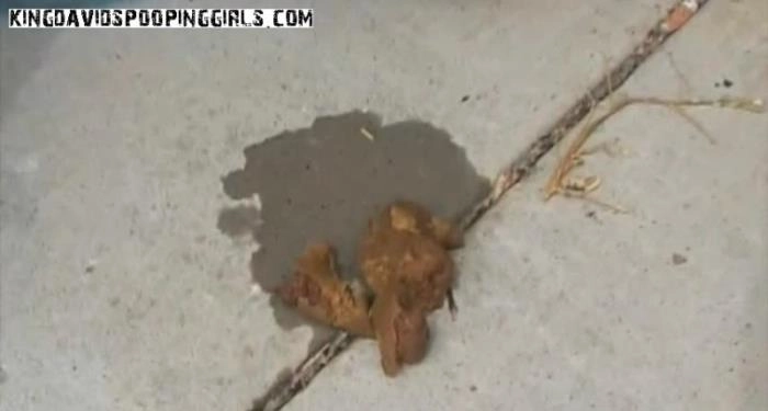 Alina, Demi, en Aspen - Buitenavontuur op de vuilstortplaats – ScatVip poster