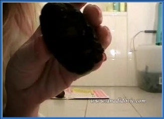 Ana Didovic - Heet Avontuur in Nederland