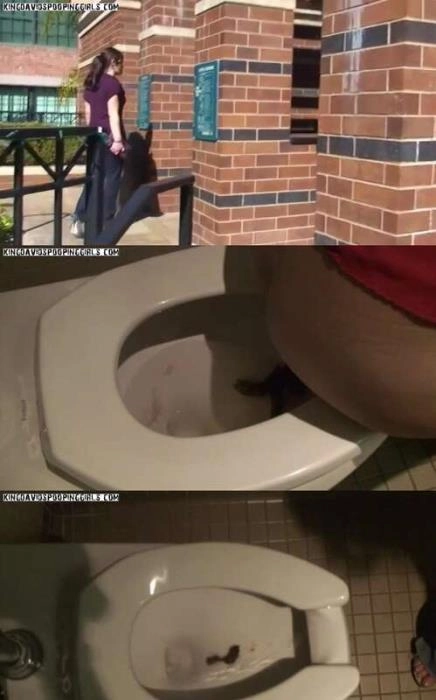 Publieke Toiletten Poepen HD 720p - Alina, Demi, Aspen Actie – ScatVip poster