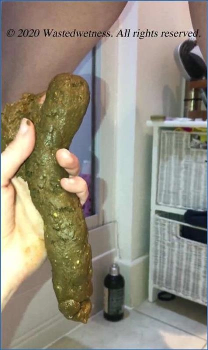 Wastedwetness' Triple Threat: Scat Smearing, Pissing Streams, and Anal Explosion in FullHD 1080p – ScatVip poster