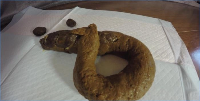 Rachelle in 4K Pissing and Smearing Action - Dumps Like A Truck – ScatVip poster