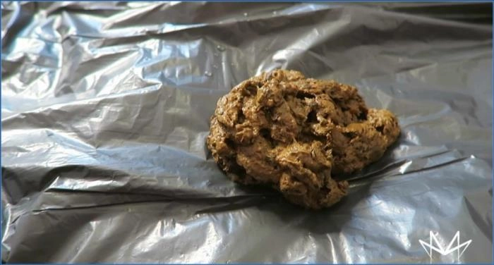 German Cruel Toilet Sklaverei FullHD 1080p – ScatVip poster