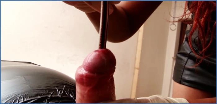 Lady Amy und Lady Atropa - Lady Devils Sklavenfütterung P2, HD 720p, rauchige Action aus Deutschland jetzt herunterladen oder streamen! – ScatVip poster