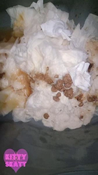 Festival Constipation UltraHD 2K (Kitty Skatt /  2026) 517 MB