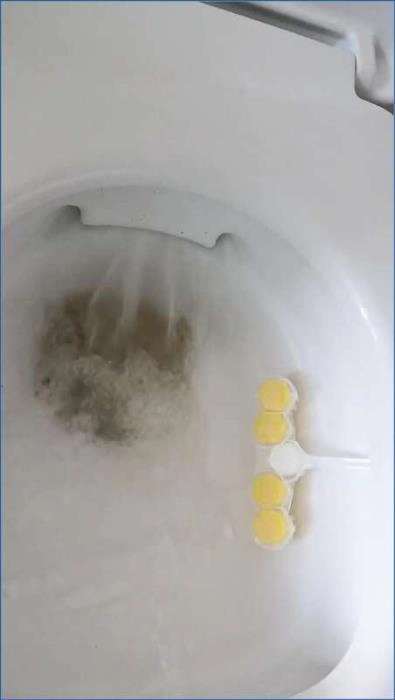 הטוב ביותר שלך אוכל: ג'רדנה בהופעה מהפנטת מישראל ב- UltraHD 2K