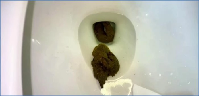 Pulsifer Paprocki's Extreme Outdoor Scat and Piss Smearing Compilation in FullHD 1080p – ScatVip poster