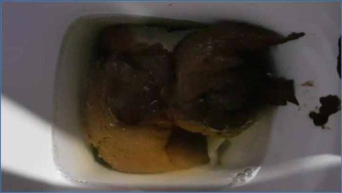 Download Thefartbabes Xmas Farts FullHD 1080p ScatVip.com