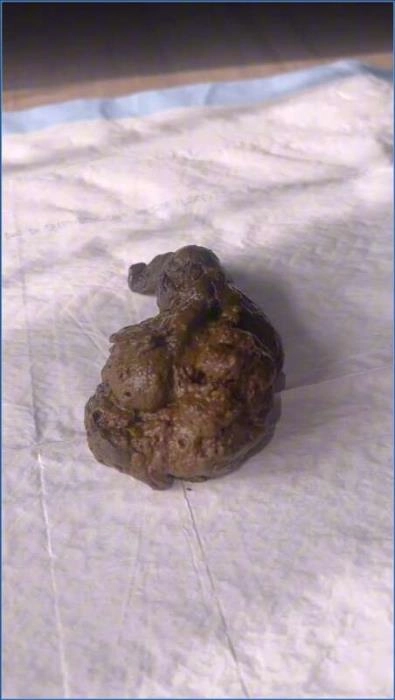 Download Miss Raines Watersports USA | HD 720p Submission Scene ScatVip.com