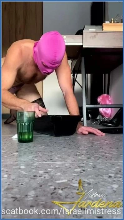 שני ארוחות צהריים לכלבה סנדרה עם גבירה ג'רדנה