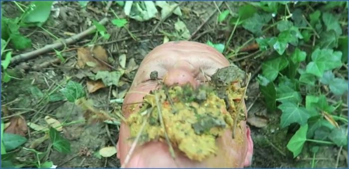 Download Entführt & als Toilette benutzt mit Miss Medea Mortelle in FullHD 1080p (Deutschland) ScatVip.com