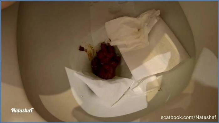 Download NatashaF's Lunchtime Scat and Piss Session in HD ScatVip.com