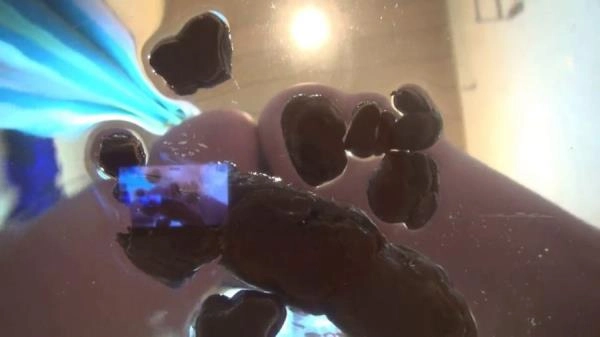 KV I Shit In Your Face FullHD 1080p (MariaDevot /  2026) 54.4 MB – ScatVip poster