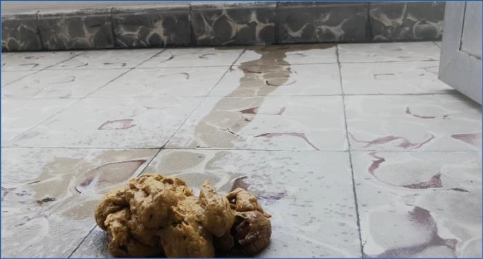 Escena escatológica: Badkitty se masturba mientras se caga en los pies en FullHD 1080p