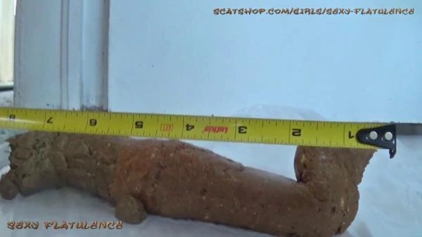 Monster Log FullHD 1080p (Sexy Flatulence /  2026) 257 MB – ScatVip poster