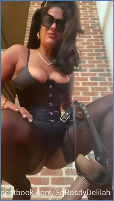 Download BOSSY DELILAH FINDOM SISSY TOILET DOMINATION  [SiteRip] Scatbook ScatVip.com