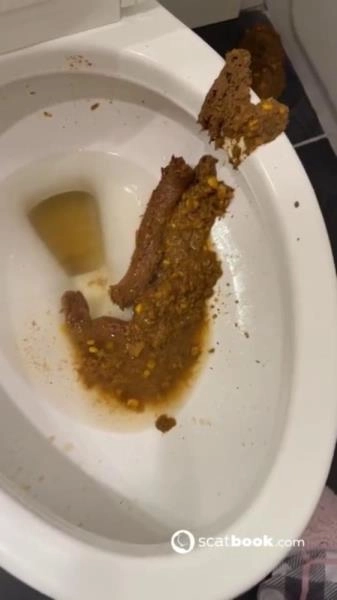 Bossys Bathroom Blunder A Splattered Catastrophe SD ( 2026) 9.86 MB – ScatVip poster