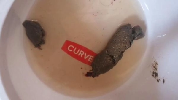 Bitchs meal HD 720p ( 2026) 26.5 MB