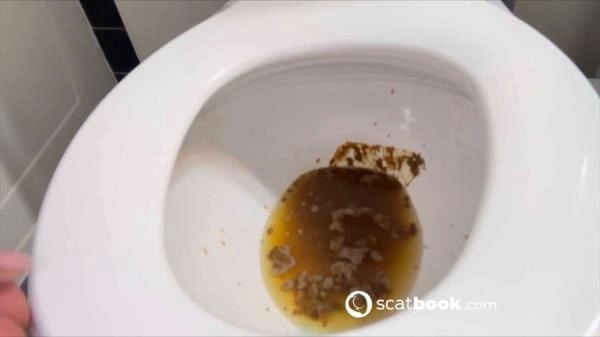 Shit For BDSM And Fetish Lovers 222 HD 720p ( 2026) 10.8 MB – ScatVip poster