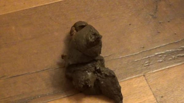 It's Been 48 Hours Since I Last Pooped! This Was HUGE! Schoolgirl Outfit FullHD 1080p (SexyScatForYou aka Katastrophic /  2026) 350 MB