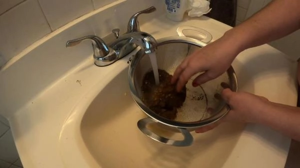 Treasure Hunt FullHD 1080p (Layla Lee /  2026) 1.21 GB – ScatVip poster