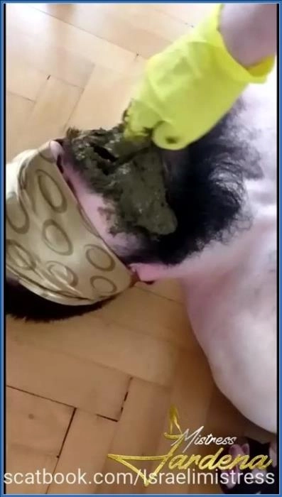 Scat lunch for my dirty slut  [SiteRip] Scatbook