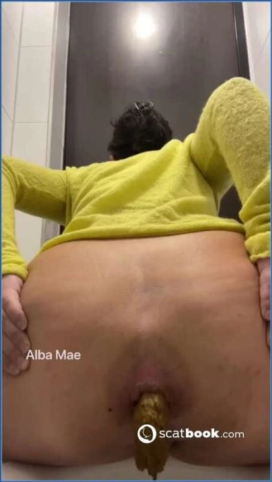 Pooping in Public Toilet  [HD 720p] Scatbook – ScatVip poster