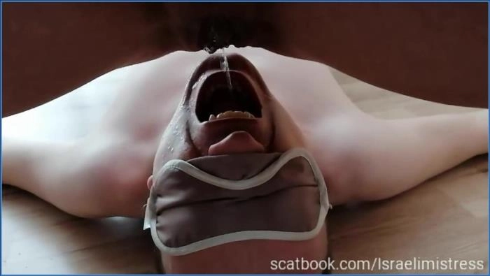 Download Cheap toilet slut serve his Mistress  [HD 720p] Scatbook ScatVip.com