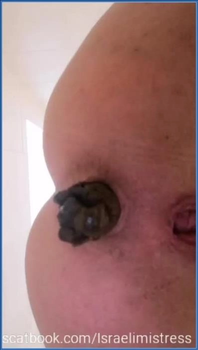 Lie down and open your disgusting mouth pig  [SiteRip] Scatbook – ScatVip poster