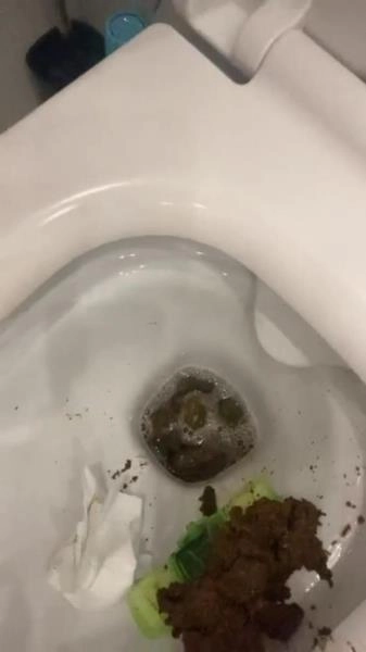 Daily portion of shit for my bitches SD ( 2026) 12.2 MB – ScatVip poster