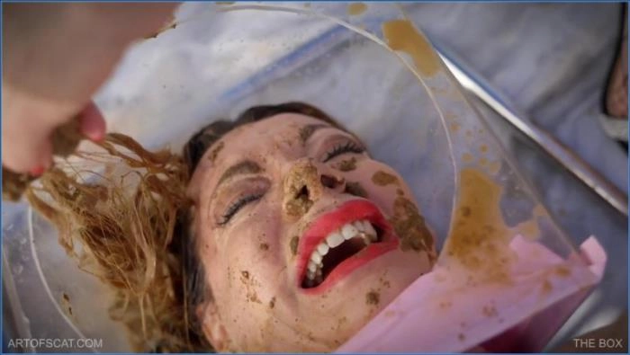 Artof Scat – THE BOX Lesbian, Eat shit [FullHD 1080p] ArtOfScat, Queensnake – ScatVip poster