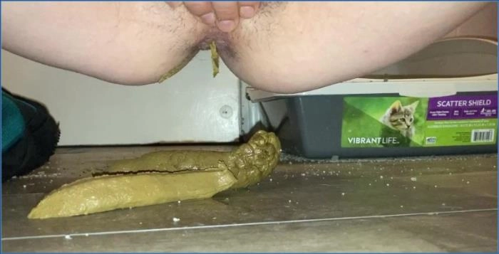 Missellie's messy FullHD Scat-Play: top Toileting & Verbal Humiliation vid Unleashed - scat porn video at ScatVip.com