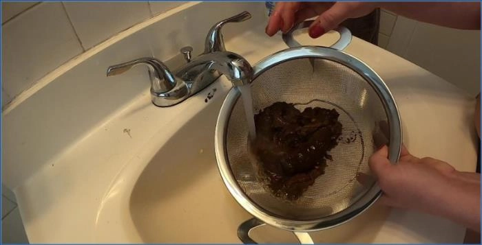 Shit Eating with Layla Lee in Extreme Big Tits and Hairy Pussy Scat - scat porn video at ScatVip.com