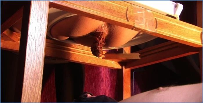 Lady Diana Scat FullHD | Wild Femdom Scenes with Diana from YezzClips