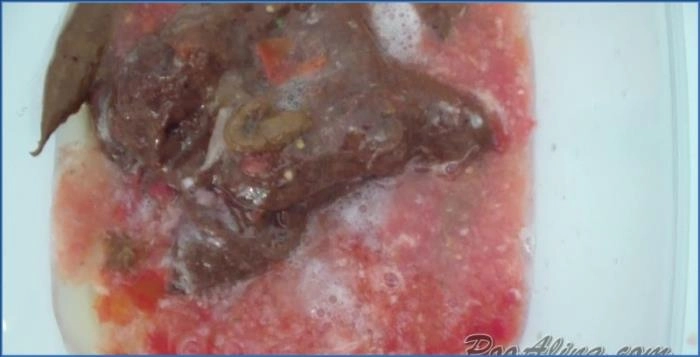 PooAlina: Intensives Kotz-Skat-Duell in HD – Für echte Hardcore-Fetischisten! – ScatVip poster