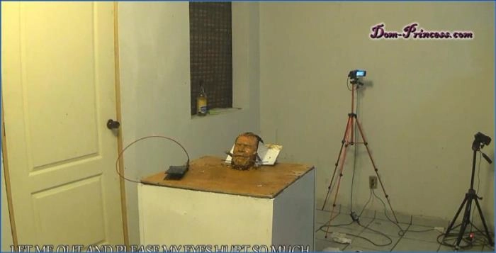 Carmen en La Lavadora Parte 6 HD | Femdom y Fetiche de Pies – ScatVip poster