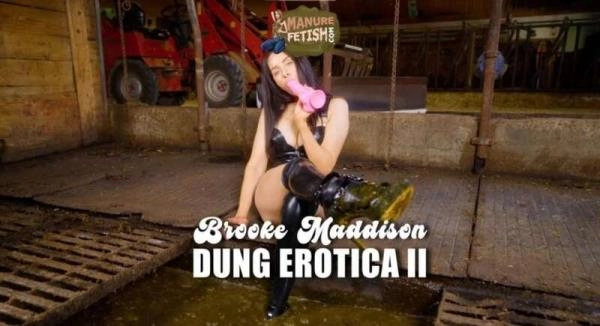 Scat Dung Erotica 2 HD 720p ( 2026) 971.5 MB – ScatVip poster
