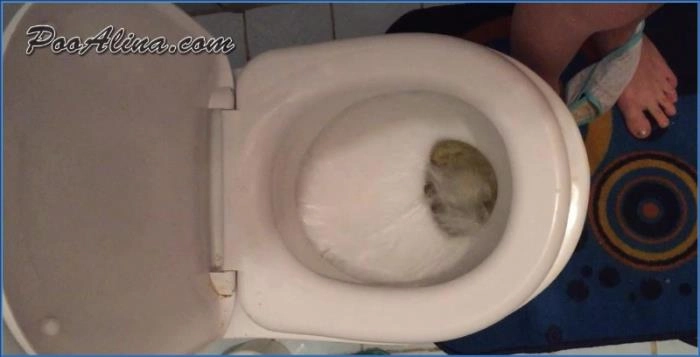 Morgen-Selfie auf der Toilette mit schmutzigen Höschen! Fetisch HD mit PooAlina – ScatVip poster