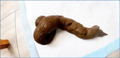 Pulsifer Paprocki- 5 Days After Surgery Scat clip FullHD 1080p - related scat video at ScatVip