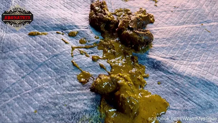 Mystique Commands the Mess in a Hard-Hitting Scat Domination Set - scat porn video at ScatVip.com