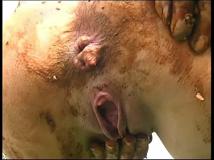 German Kaviar Blowout: Unfiltered Scat Adventures in Shitmaster 140 - scat porn video at ScatVip.com