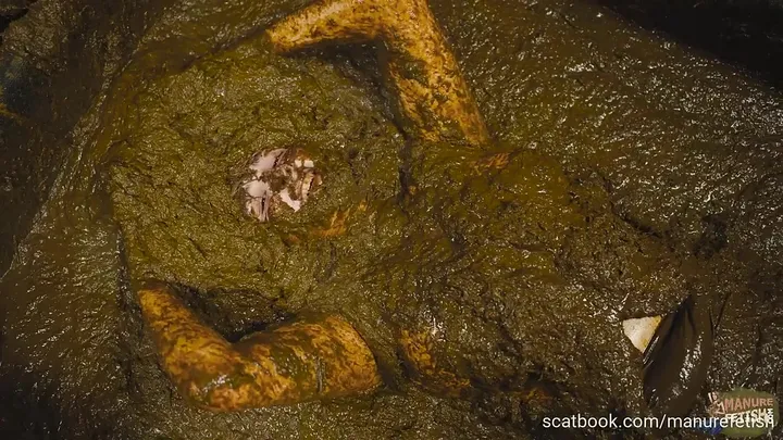 Lyndra Lynn's Clean-Up Transforms into a Kaviar Scat Mess - scat porn video at ScatVip.com
