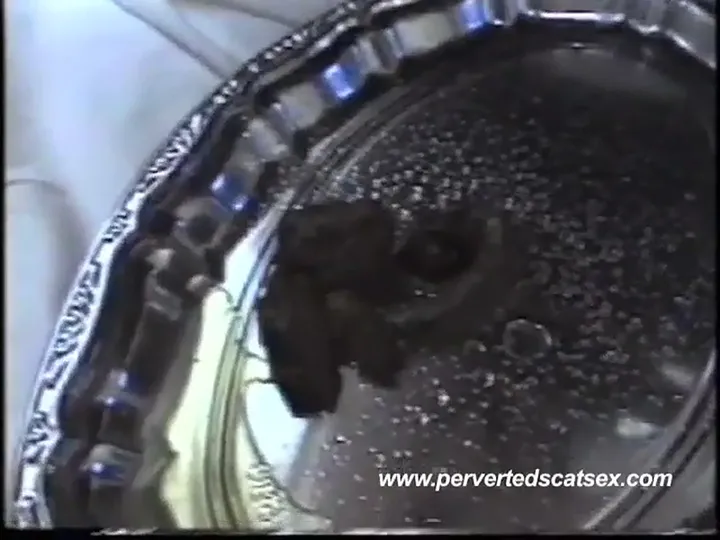 Grimy Warm Load Smears Fast in Extreme Scat Action - No Frills, Just - scat porn video at ScatVip.com