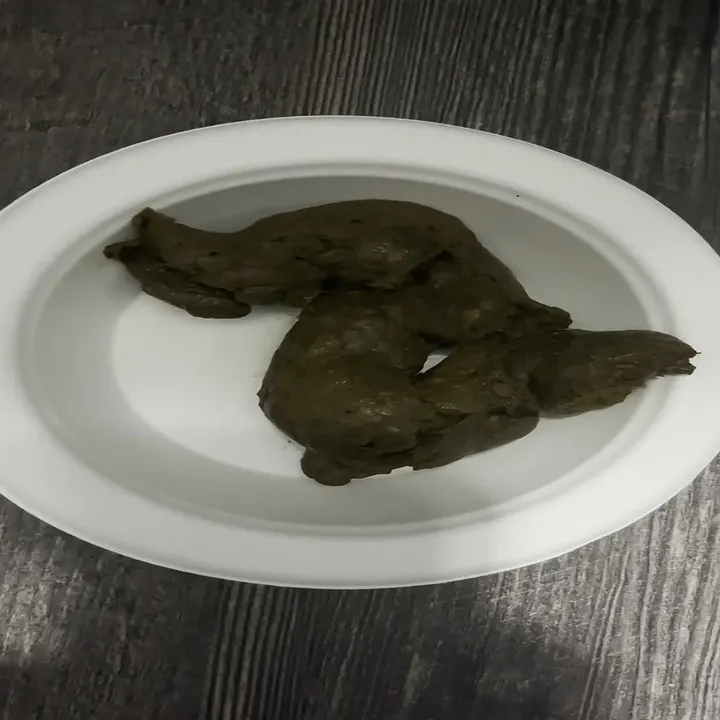 Solo Scat Release: Morning Kaviar Drop with Deep Impact - Fresh Duce - scat porn video at ScatVip.com