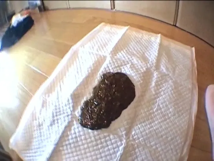 Japanese Kaviar Grind: Steady Stream of Scat from Start to Finish - scat porn video at ScatVip.com
