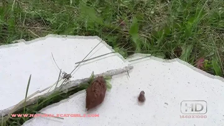 Solo Scat Girl Unleashes Her Mess in Warm, Close-Up Detail - Natural - popular scat video at ScatVip