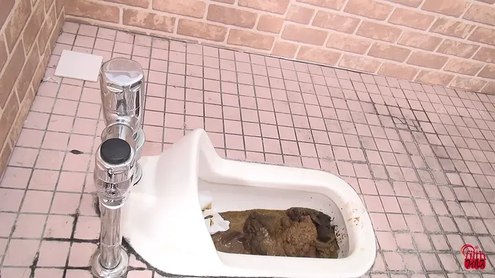 Japanese Scat Porn: JADE's Stinky Poops Clog the Toilet - Messy - scat porn video at ScatVip.com