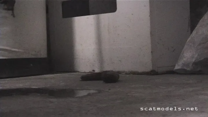 Fast Squat Brown Unload - Quick Natural Scat Release for Messy Fans - scat porn video at ScatVip.com