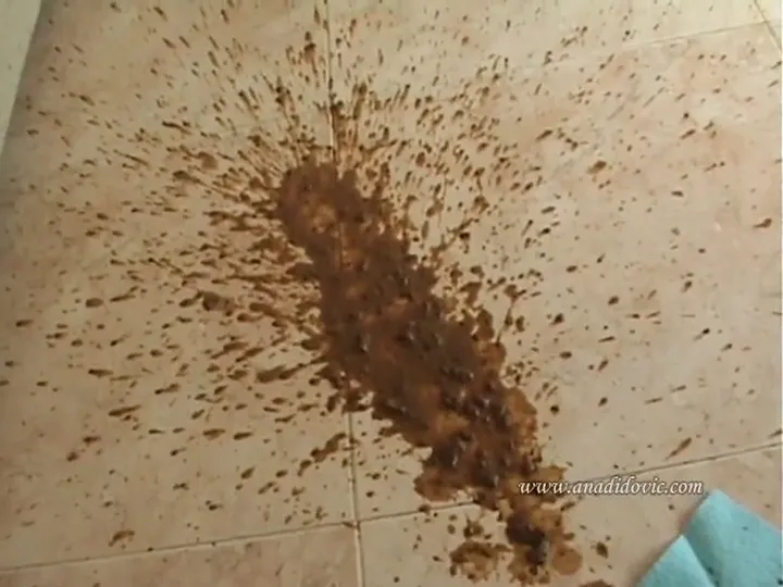 Ana Didovic Takes Charge in a Sordid Solo Scat Video for True Poop - scat porn video at ScatVip.com