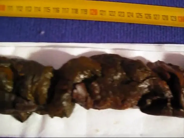 Shelly Poops and Smears a Hefty Warm Mess on the Floor - Scat Release - scat porn video at ScatVip.com